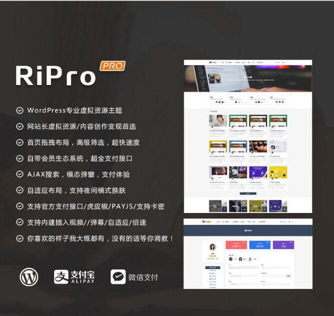 图片[1]-最新WP+RiPro主题PJ版 功能强大-怒飚资源网